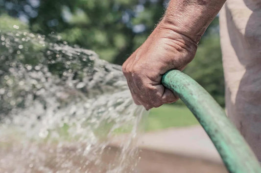 garden hose spray watering