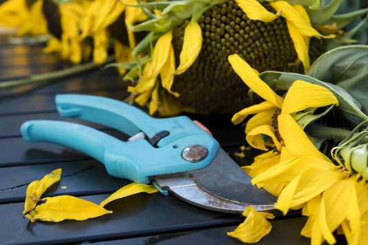 How Do You Pick the Right Garden Pruner?