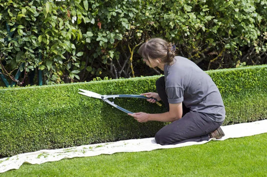 Using Garden Shears to Prepare Your Garden for Winter